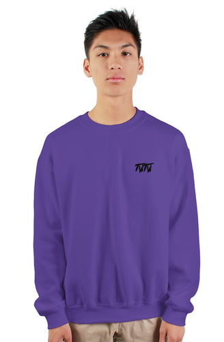 TWTW heavy crewneck sweatshirt