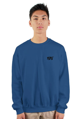 TWTW heavy crewneck sweatshirt
