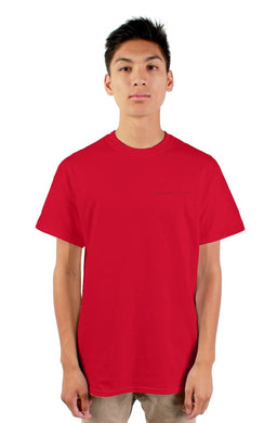 This What They Wanted mens tshirt