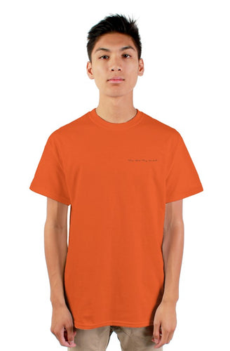 This What They Wanted mens tshirt